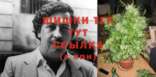 СК Арсеньев